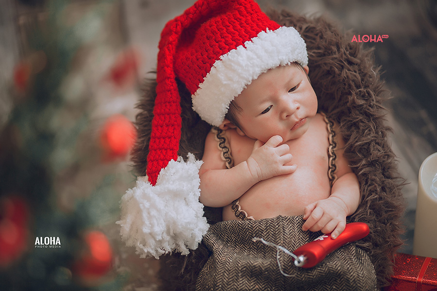 album ảnh giáng sinh newborn